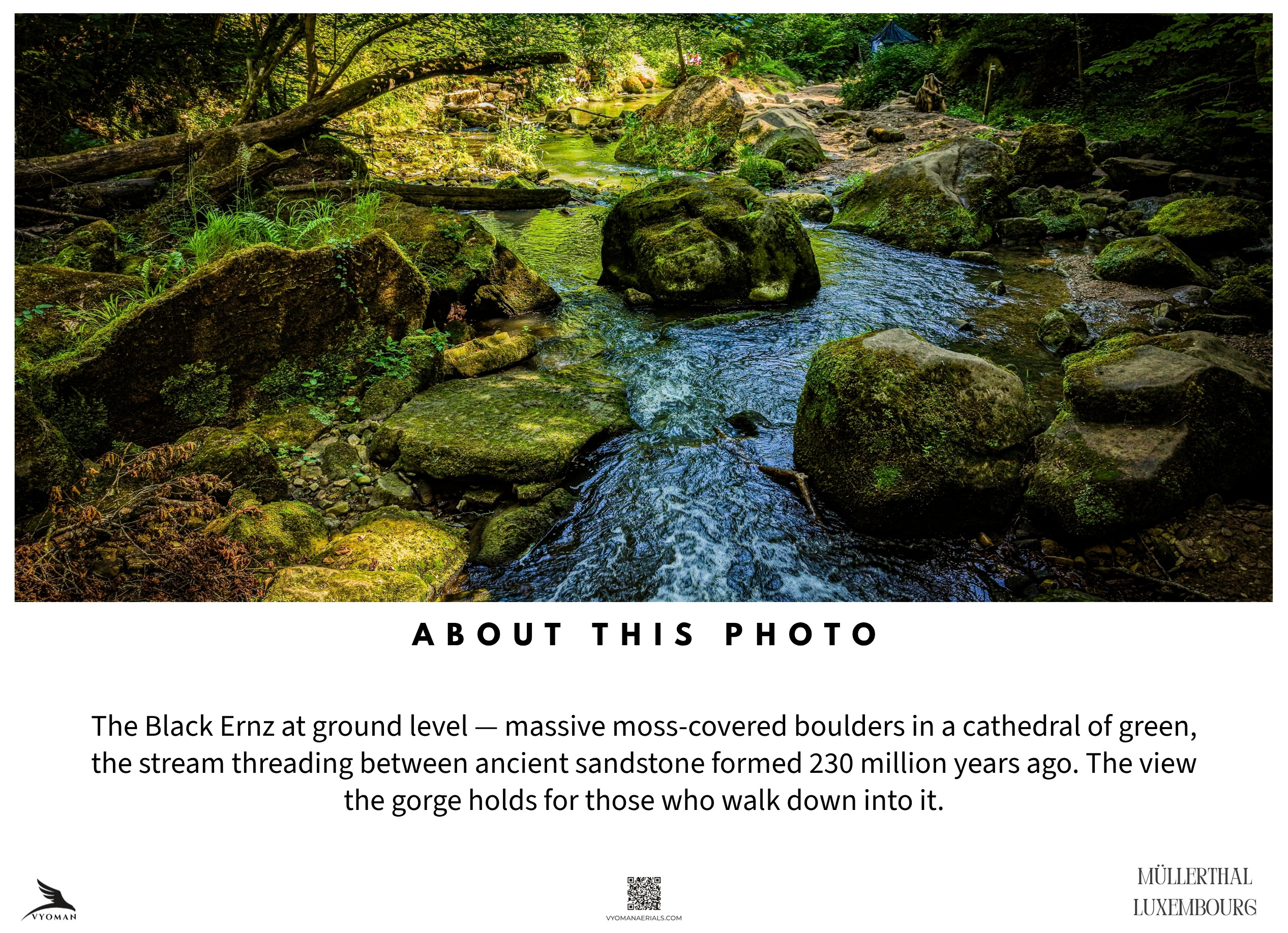The Ancient Glen — About this photo