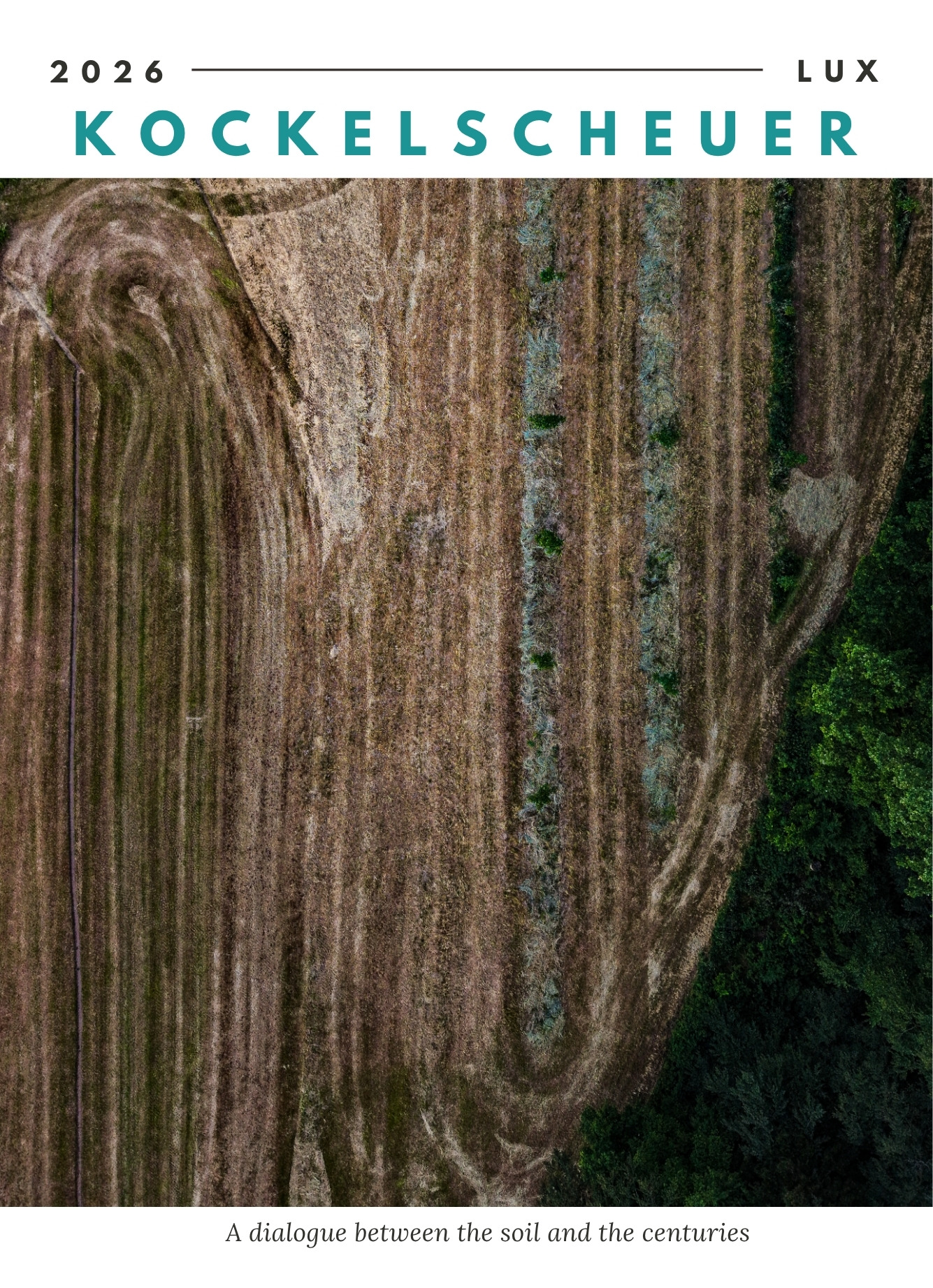 The Field Impressions