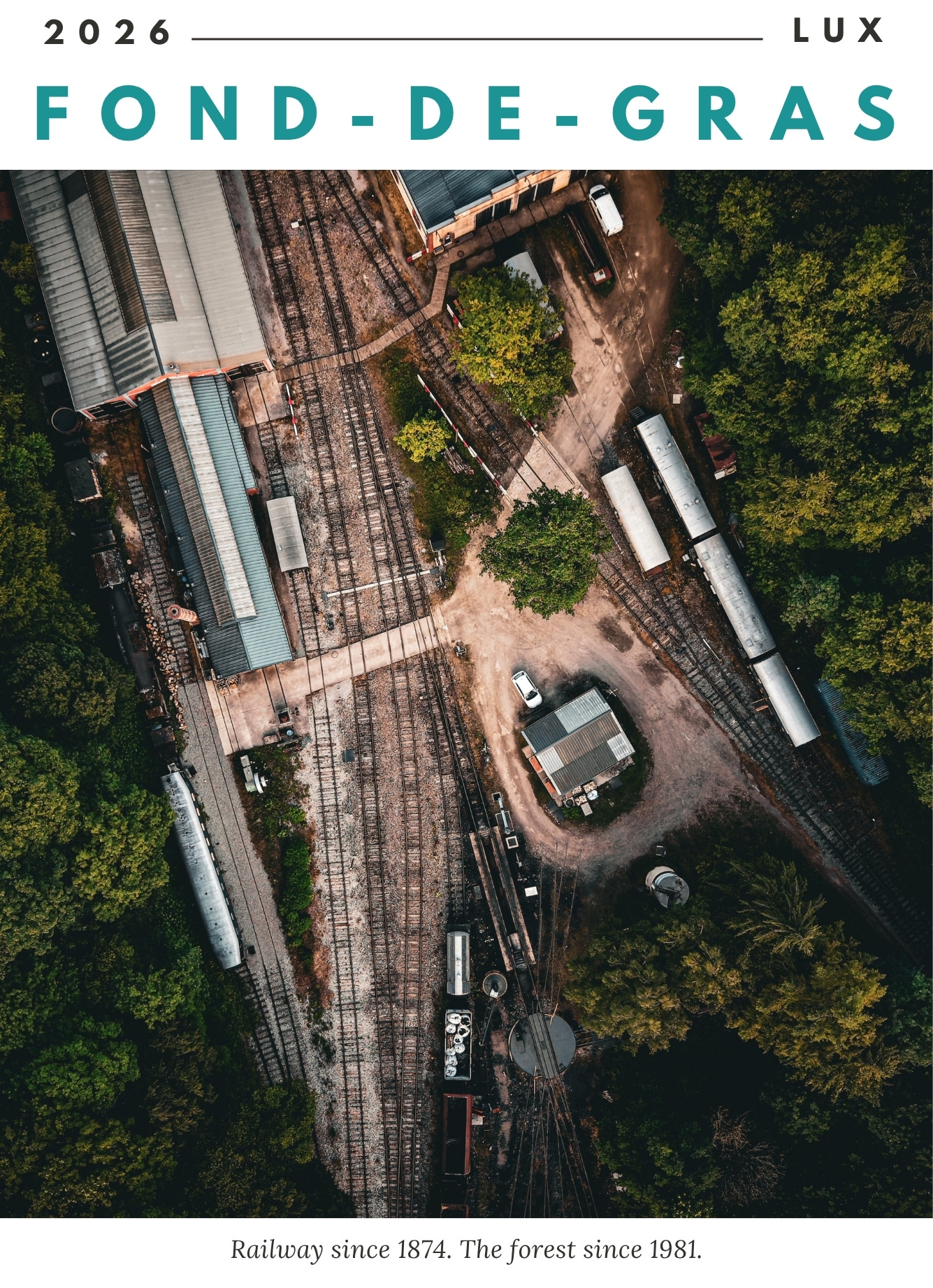 The Yard in the Woods