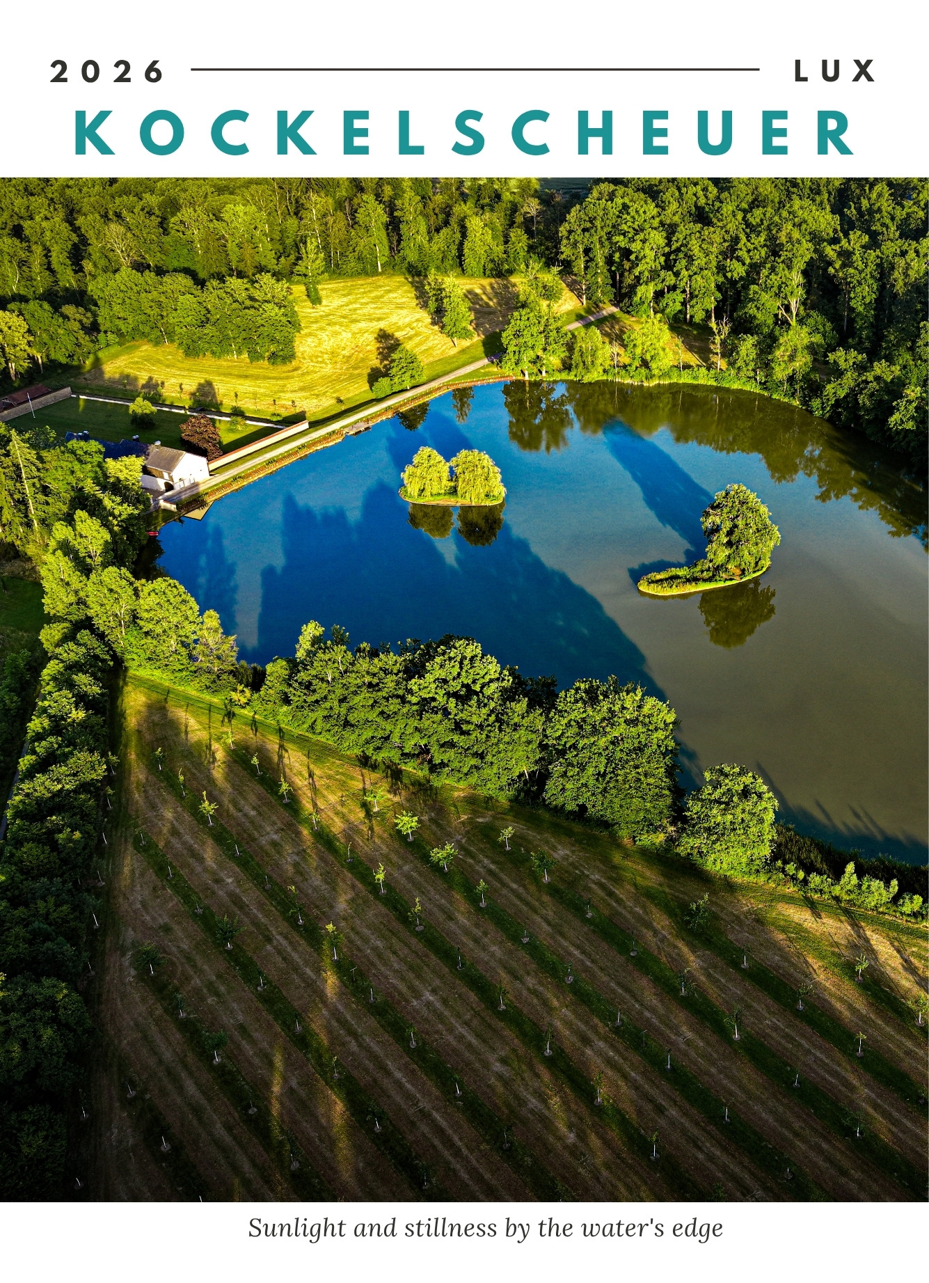 The Orchard's Edge