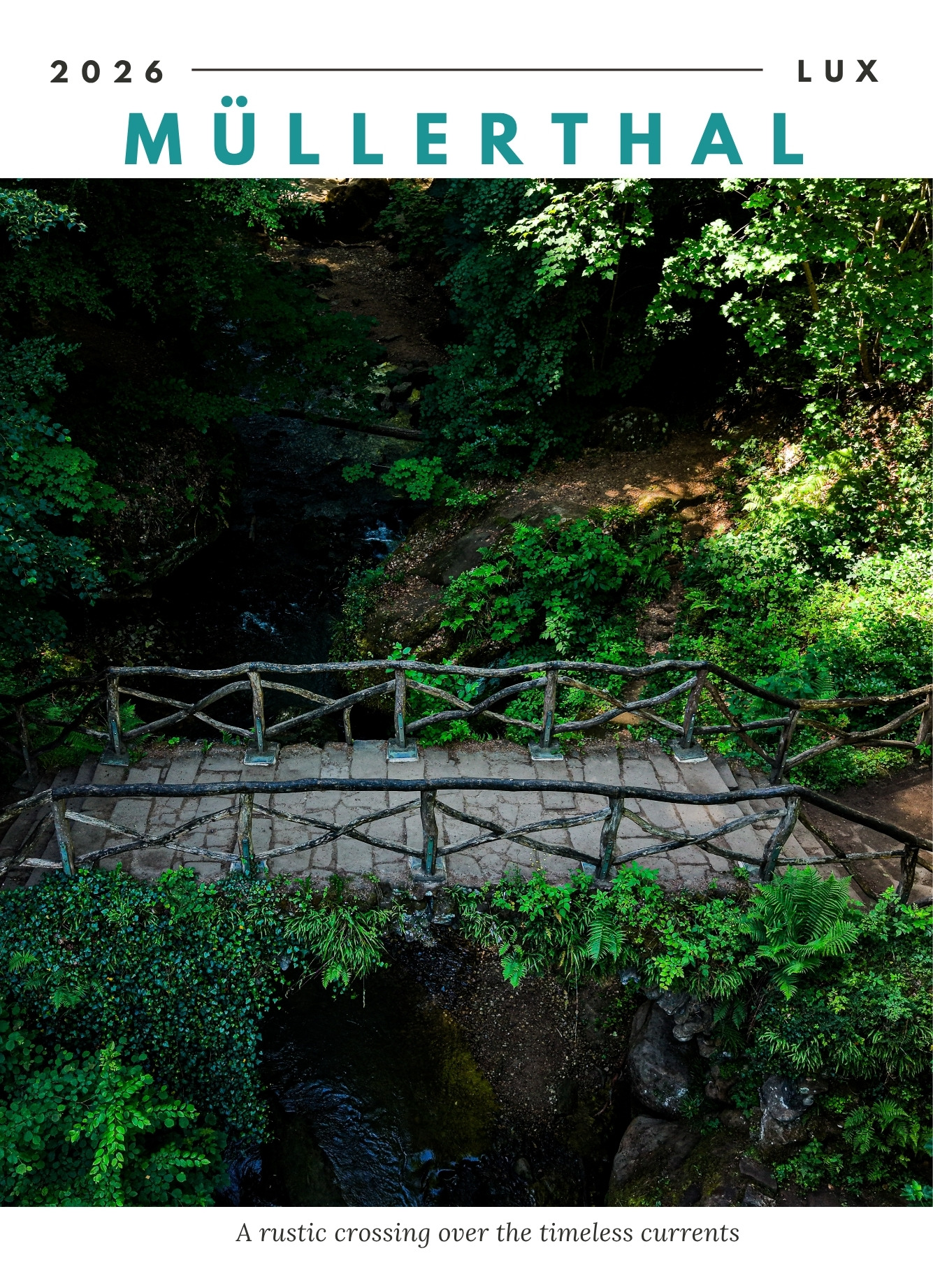 The Shadowed Passage