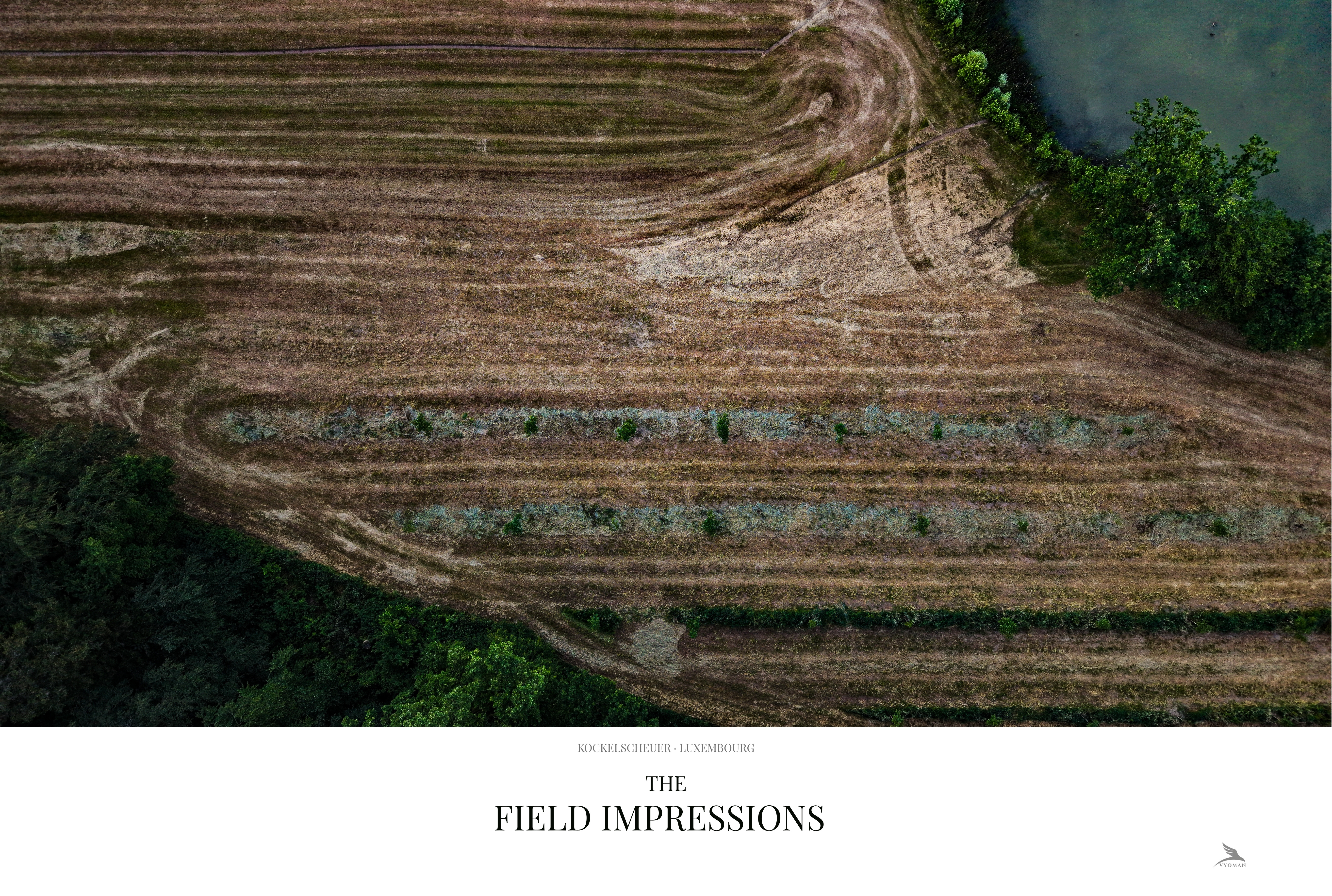 The Field Impressions — Landscape print