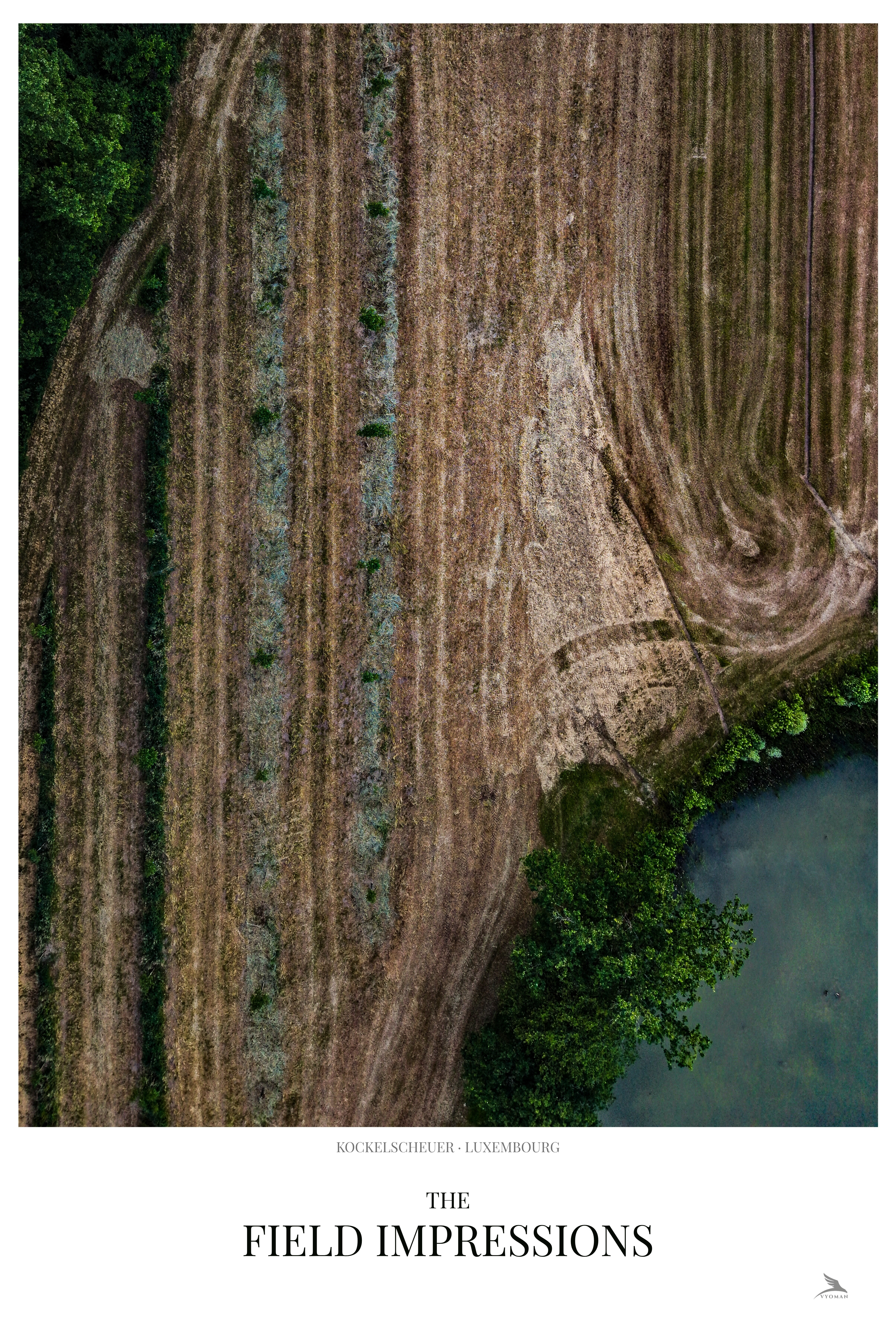 The Field Impressions
