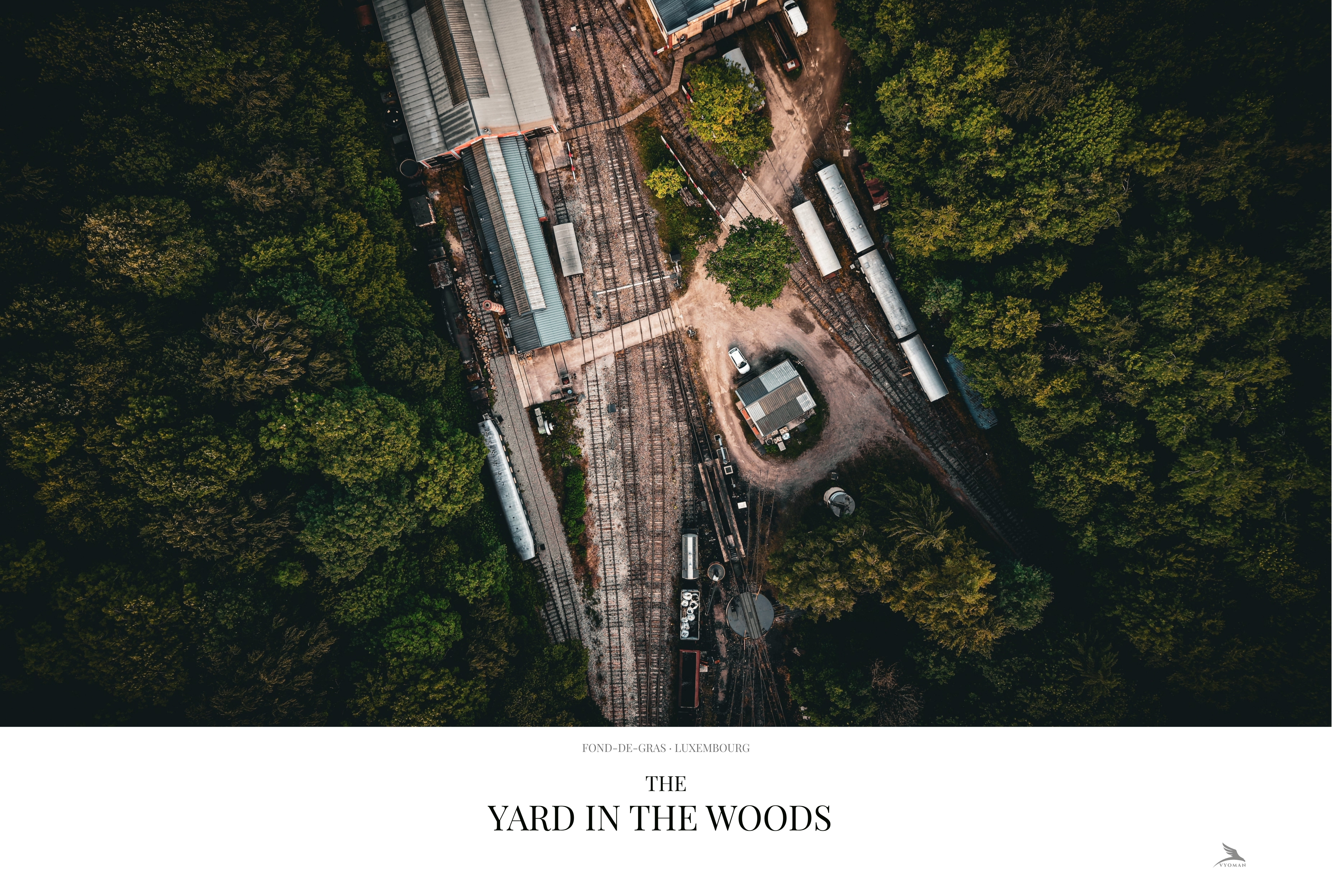 The Yard in the Woods — Landscape print