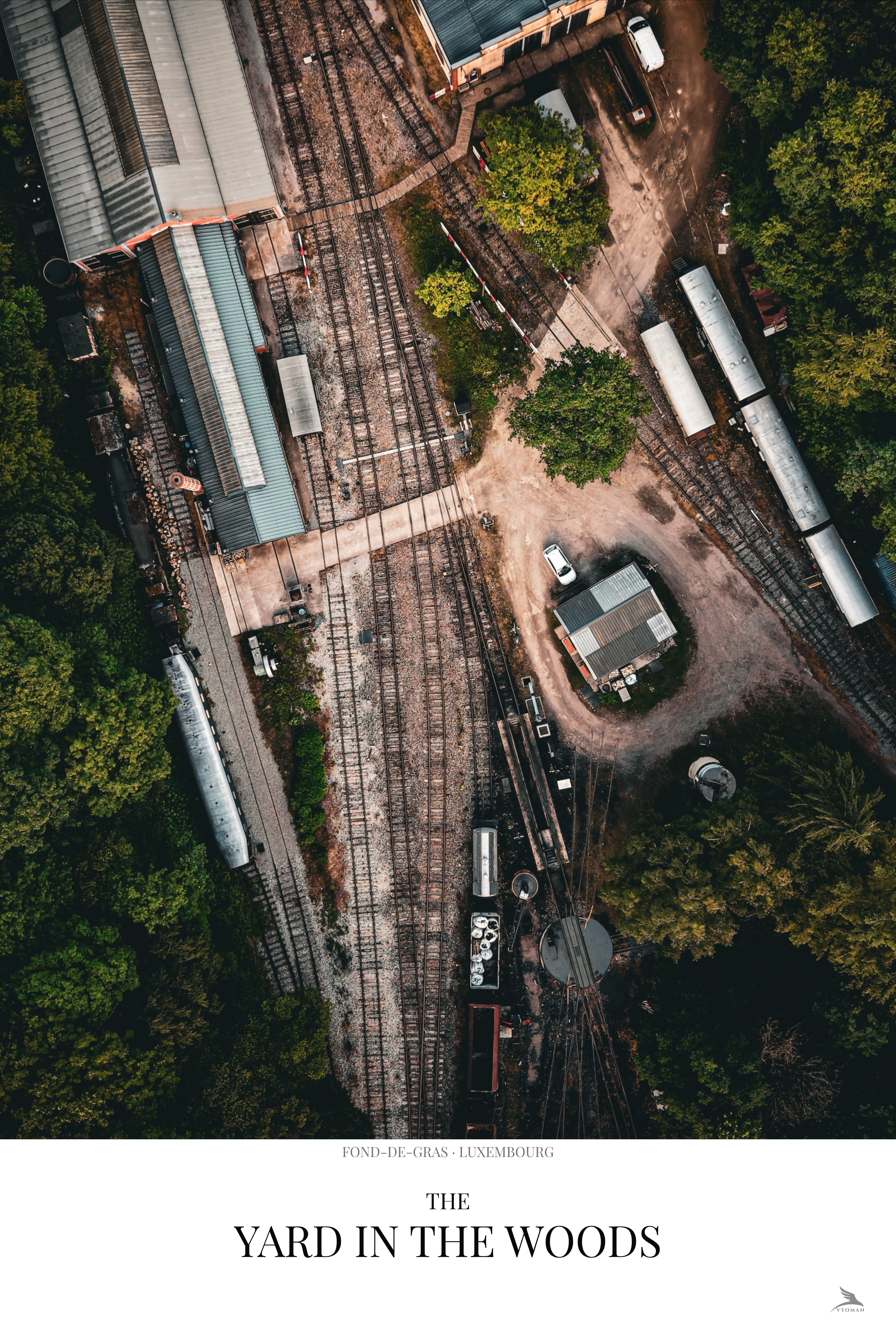 The Yard in the Woods