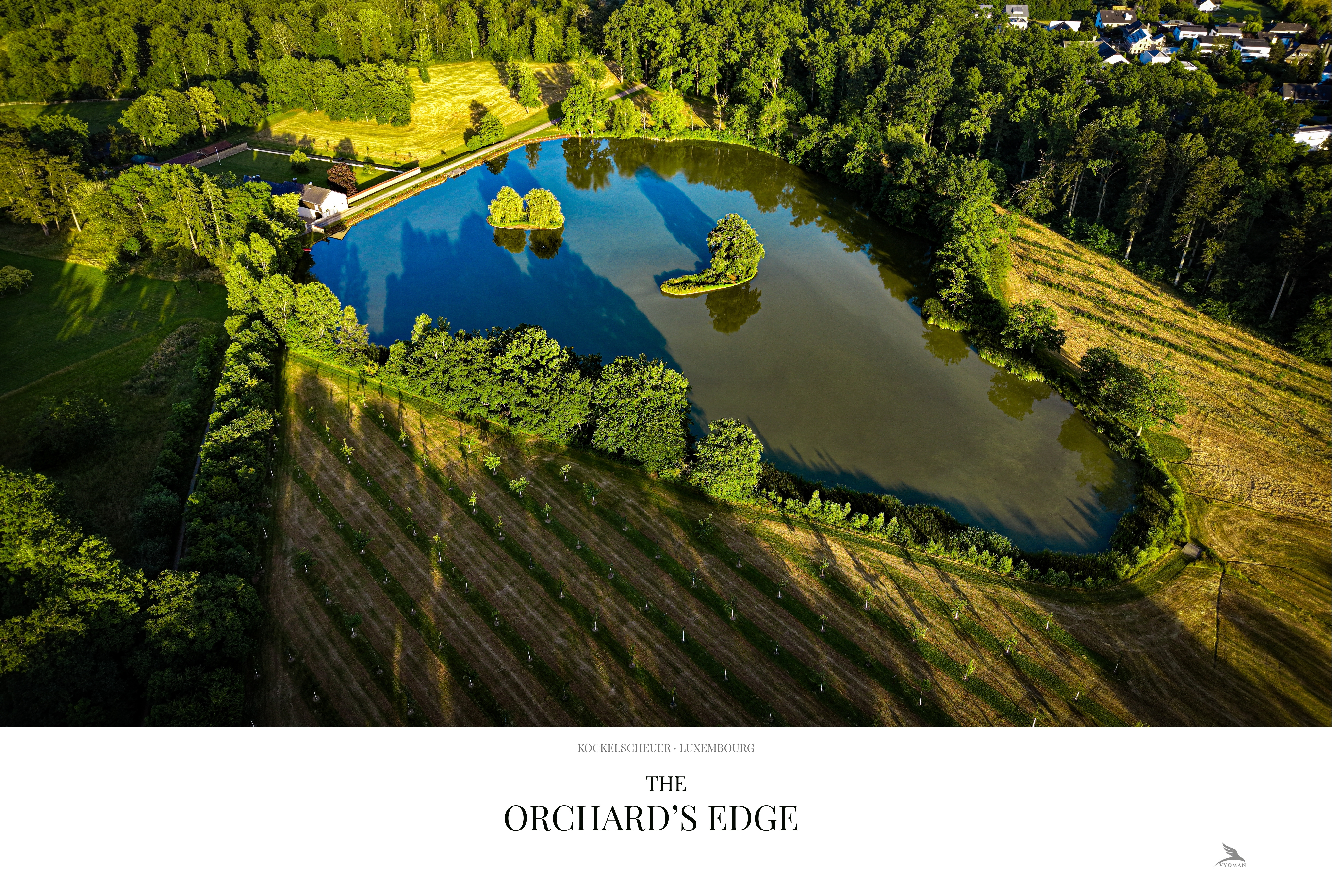 The Orchard's Edge — Landscape print