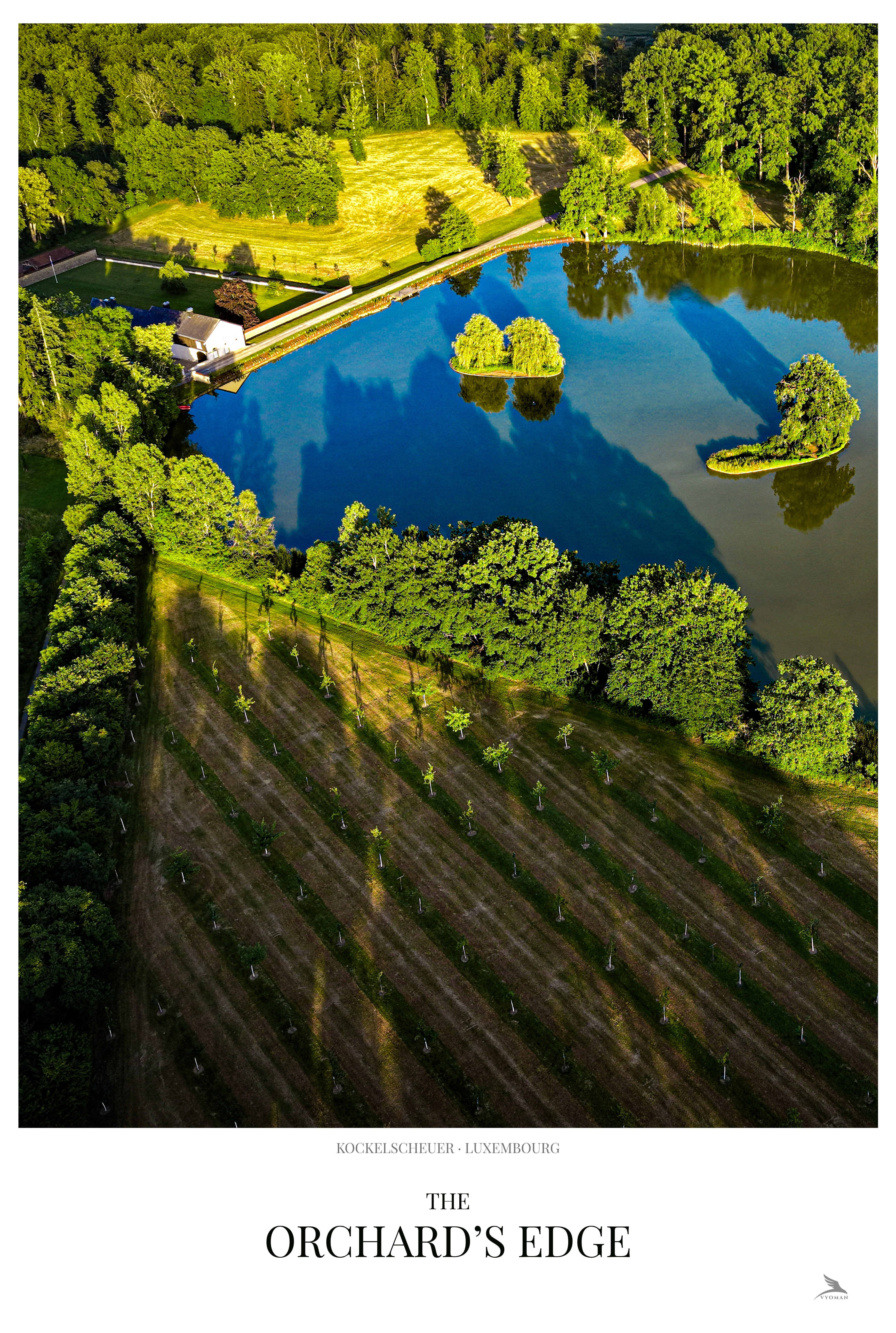The Orchard's Edge