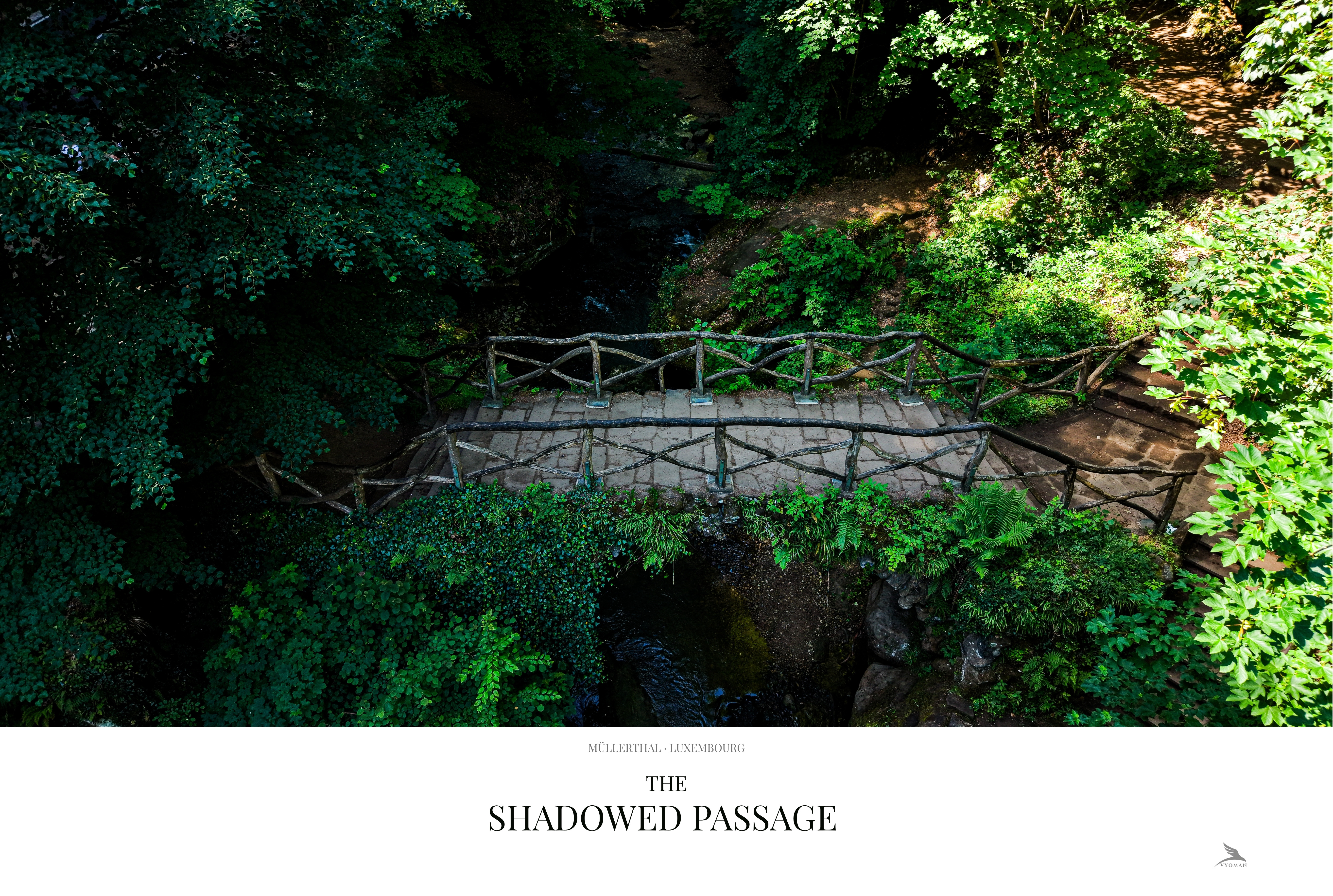 The Shadowed Passage — Landscape print