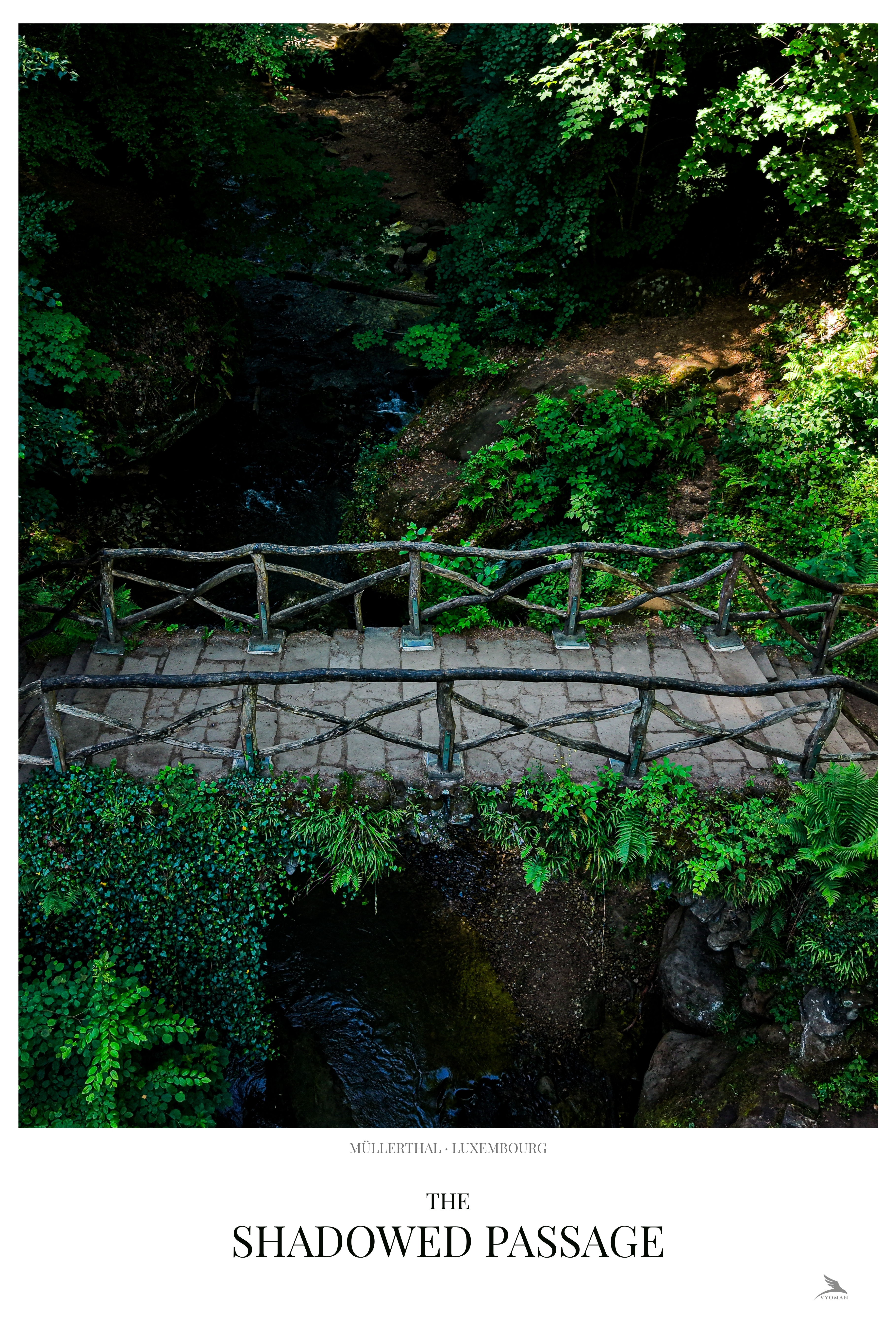 The Shadowed Passage
