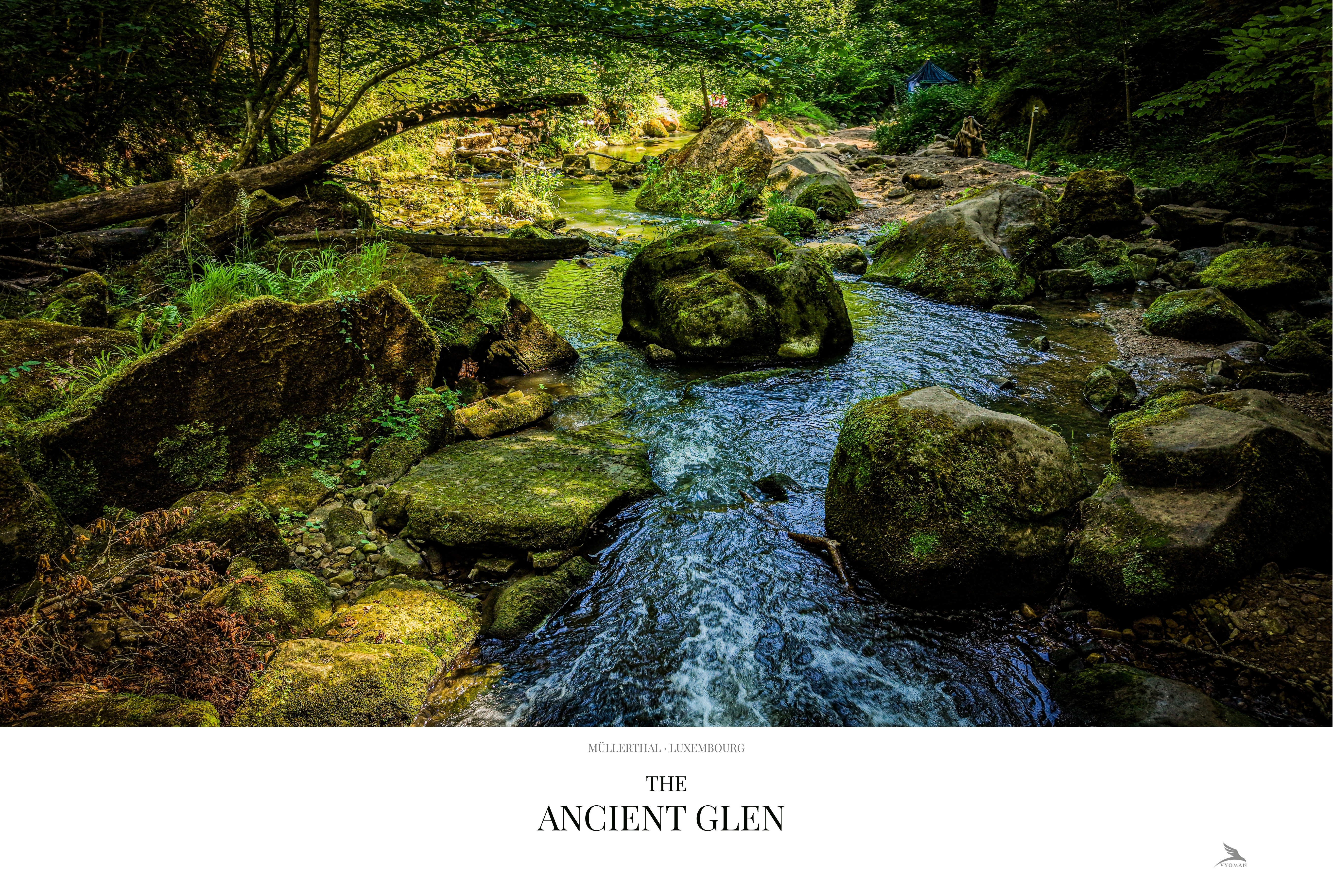 The Ancient Glen — Landscape print