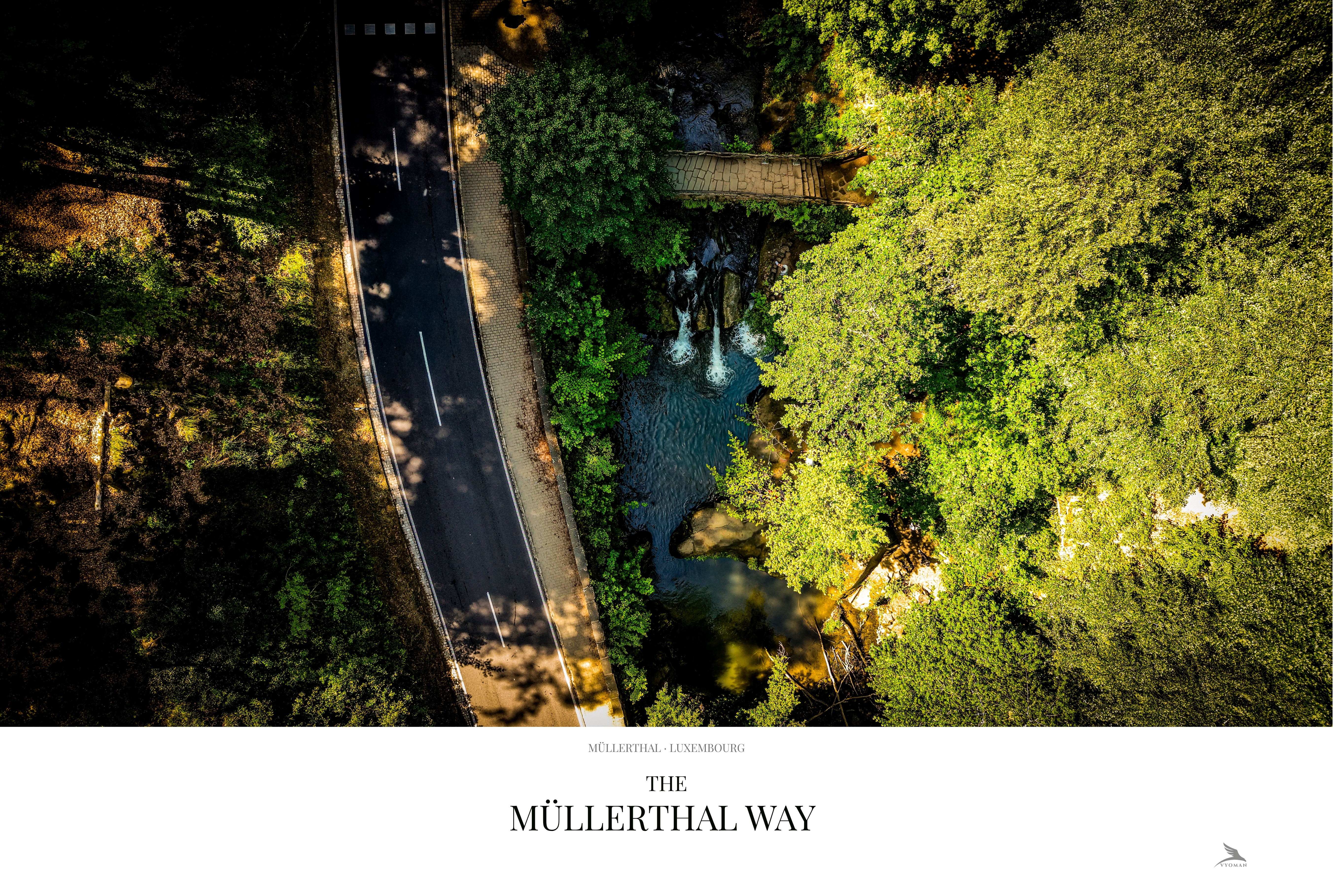The Müllerthal Way — Landscape print