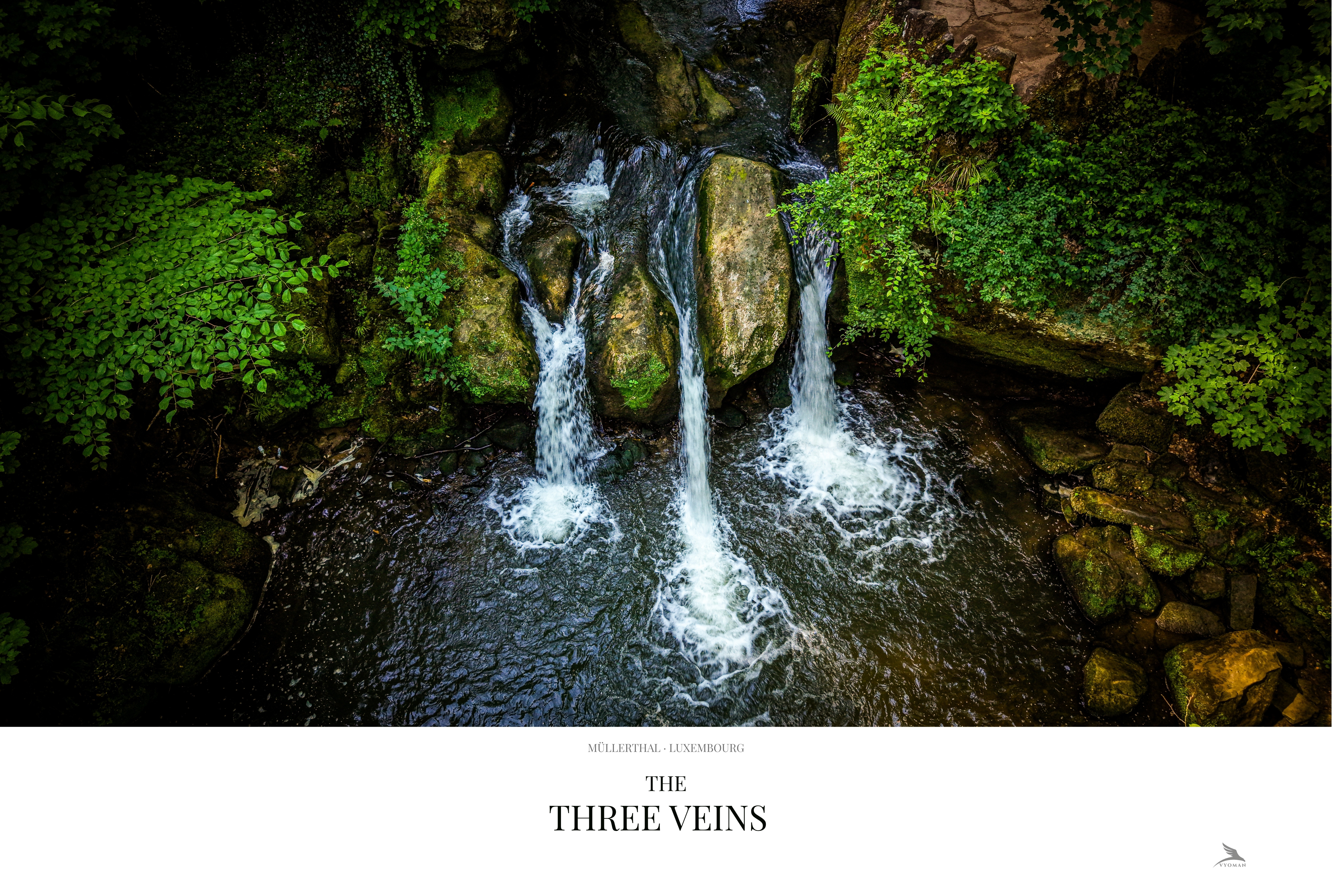The Three Veins — Landscape print
