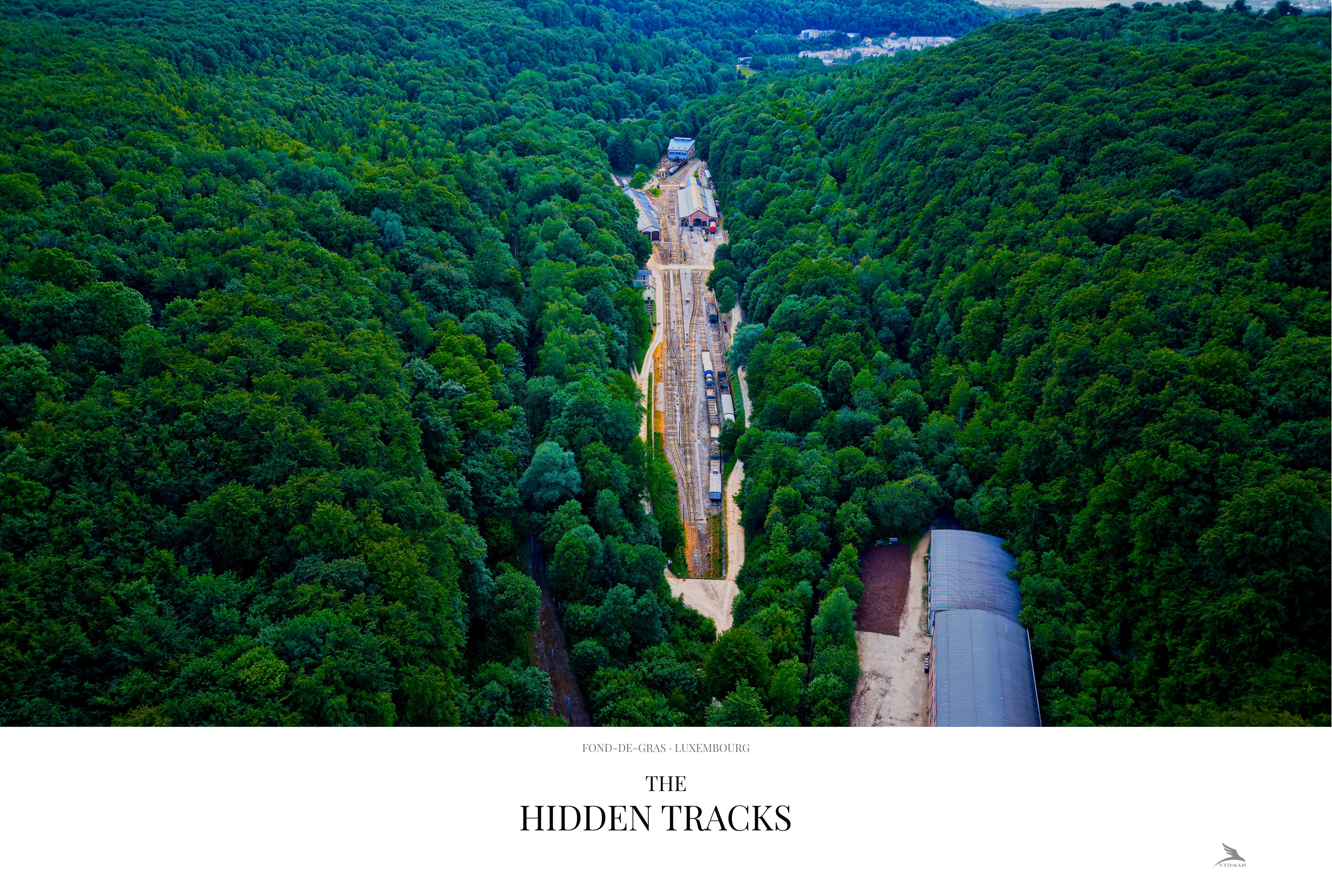 The Hidden Tracks — Landscape print